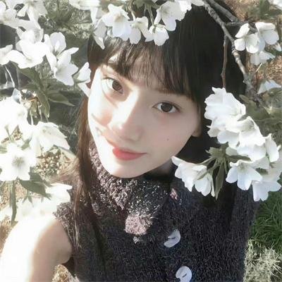 爱莉思的情书