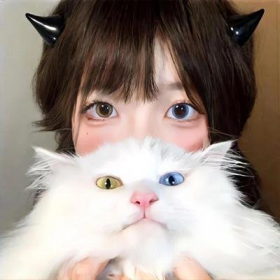 9号秘事第四季