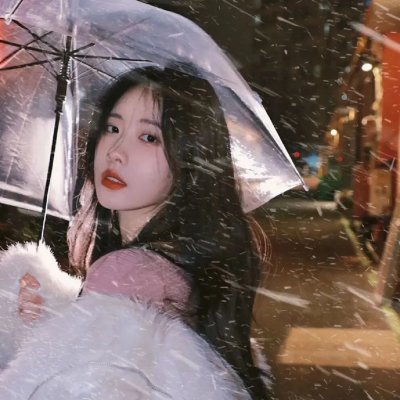 全面搜寻圣诞狗狗